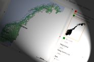 Har Netcom trøbbel i tårnet?