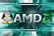 AMD frigir kode 