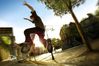 Skate 2