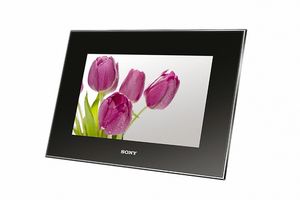 Sony DPF-V1000