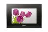 Sony DPF-V1000