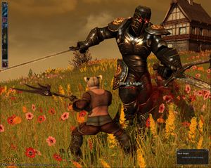 Darkfall Online.