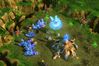 StarCraft II: Wings of Liberty
