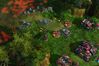 StarCraft II: Wings of Liberty