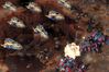 StarCraft II: Wings of Liberty