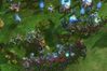 StarCraft II: Wings of Liberty