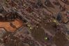 StarCraft II: Wings of Liberty