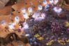 StarCraft II: Wings of Liberty