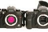 Sigma SD14