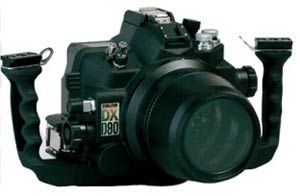 Nikon DX-D80 
