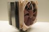 Noctua NH-U12P