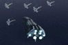Star Wars: Empire at War