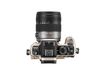 Panasonic LUMIX G VARIO HD 14-140mm / F4.0-5.8 ASPH. / MEGA O.I.S.