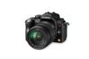 Panasonic LUMIX G VARIO HD 14-140mm / F4.0-5.8 ASPH. / MEGA O.I.S.