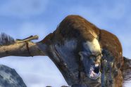 Age of Conan stadig p� tur nedover
