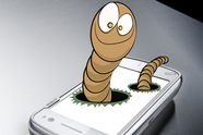 Verdens f�rste SMS-orm oppdaget