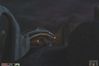 The Elder Scrolls III: Morrowind