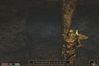 The Elder Scrolls III: Morrowind