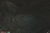 The Elder Scrolls III: Morrowind