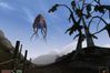 The Elder Scrolls III: Morrowind