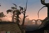 The Elder Scrolls III: Morrowind