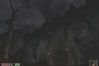 The Elder Scrolls III: Morrowind