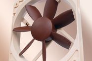 Noctua fornyer seg