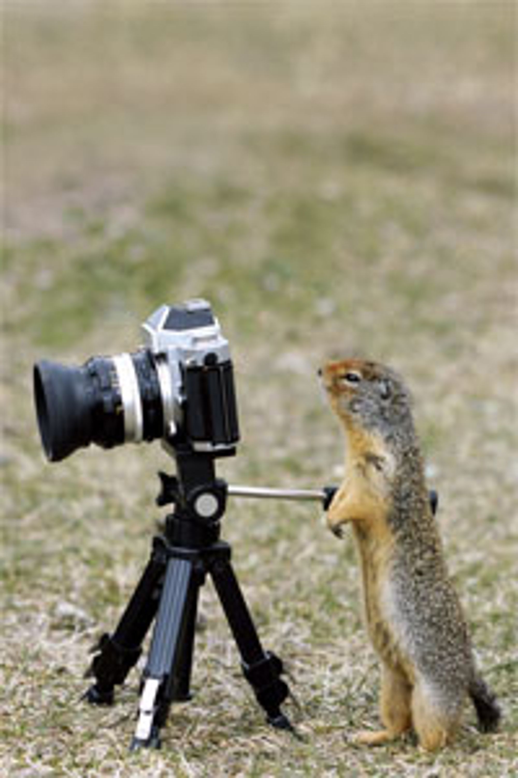 En skikkelig fotograf som setter pris på et skikkelig stativ.