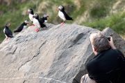Les Med fjær i siktet