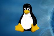 Linux
