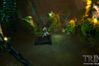 Trine