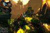 Trine