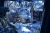Battlefield: Bad Company 2