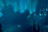 BioShock 2