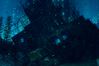 BioShock 2