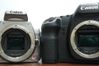 Canon EOS 5D Mark II