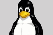 Raskere Linux-boot