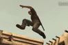 Alpha Protocol