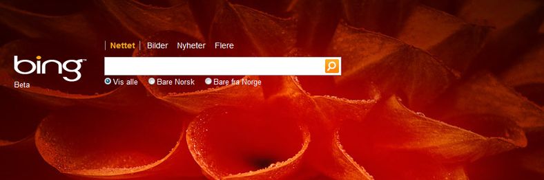 Bing fortsetter å øke