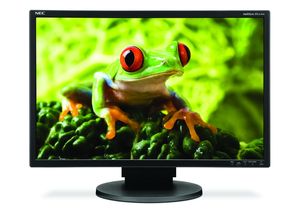 Nec MultiSync EA241WM