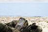 Nokia 3720 Classic