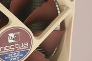 Noctua med gratis oppgradering