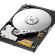 Samsung Spinpoint F3 1 TB