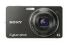 Sony Cyber-shot DSC-WX1