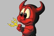 FreeBSD 8.0 neste måned