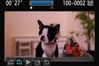 Canon EOS 7D