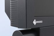 Eizo Foris FX2431