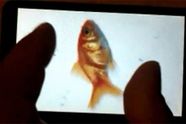 HTC Leo får kapasitiv flertrykkskjerm