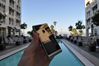 Sony Ericsson Satio