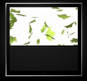 Bang & Olufsen BeoVision 10
